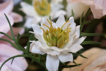 The Natural Garden Collection